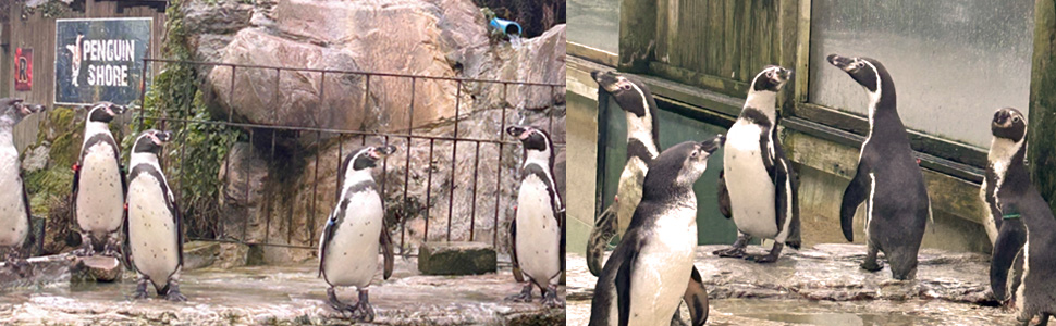 Highlights of Gloucestershire Whats on and Gloucestershire Events