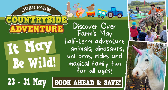 Schools Holidays in Gloucestershire - Click to view