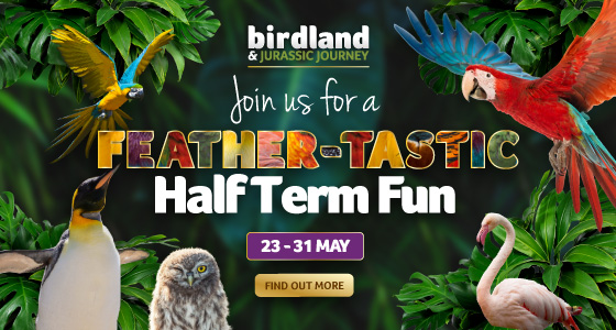 Cotswolds Whats On, Events and Places - Click to view