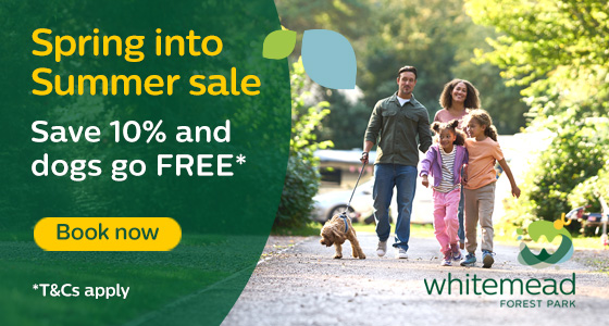 Forest of Dean Whats On, Events and Places - Click to view