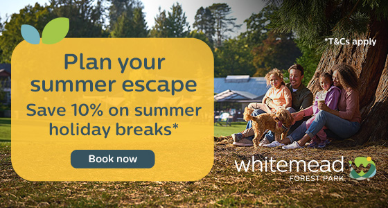 Forest of Dean Whats On, Events and Places - Click to view