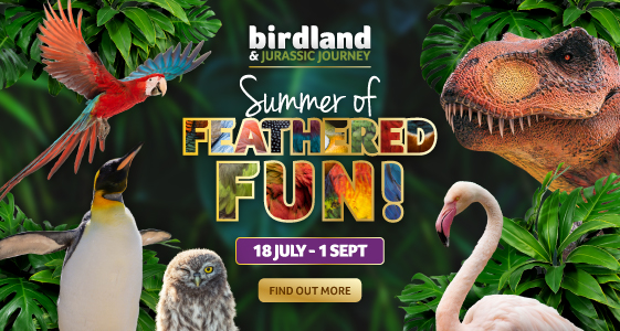 Cotswolds Whats On, Events and Places - Click to view