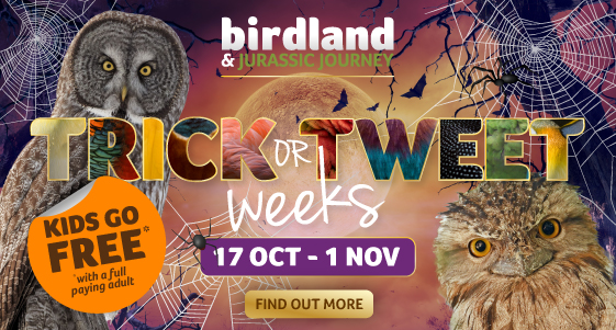 Whats On, Events and Places - Click to view