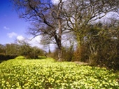 Kempley