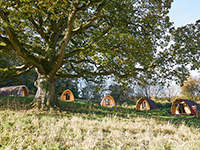 Whitemead Forest Park - Glamping