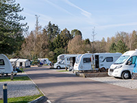 Whitemead Forest Park - Camping & Touring Caravan Site